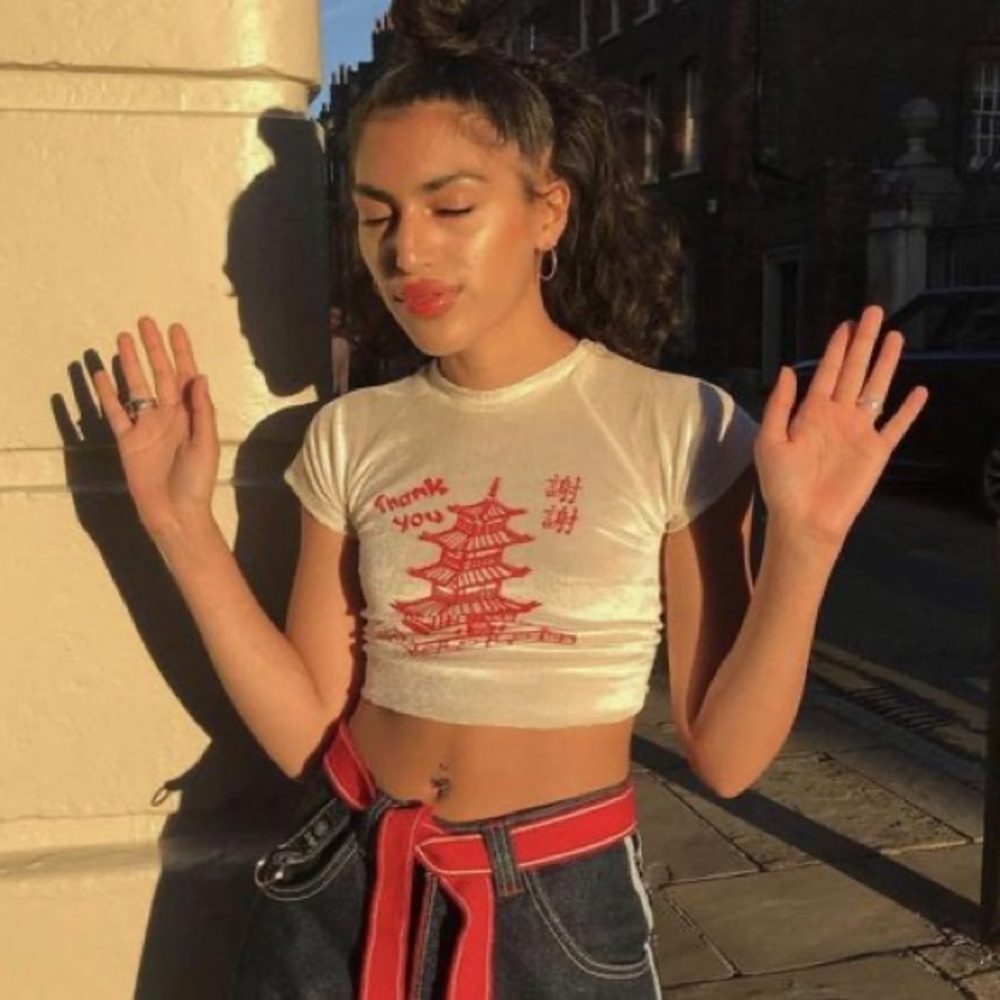 Chinese velvet “Thank You” graphic cropped tee 🥡
